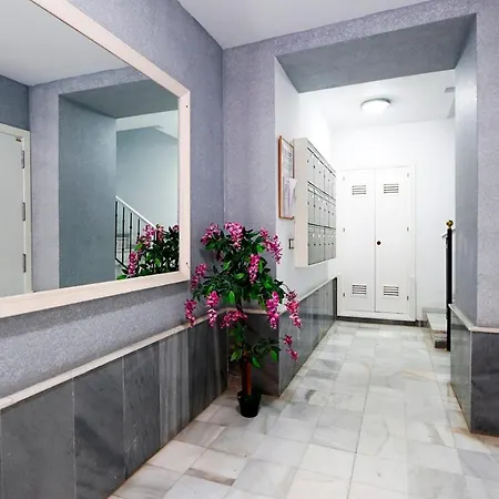 Little Sopranis Little